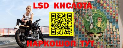гидра Краснодар