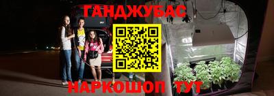 гидра Краснодар