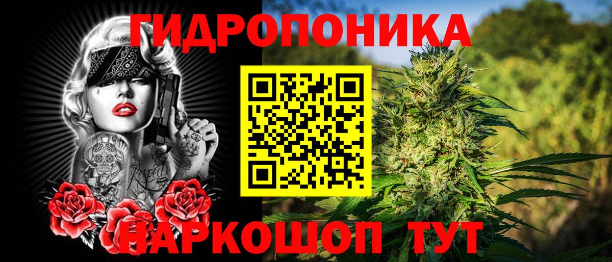 Марихуана план  Вход с VPN  МАРИХУАНА White Widow  МАРИХУАНА AK-47  Бошки марихуана SATIVA & INDICA  Каменка 